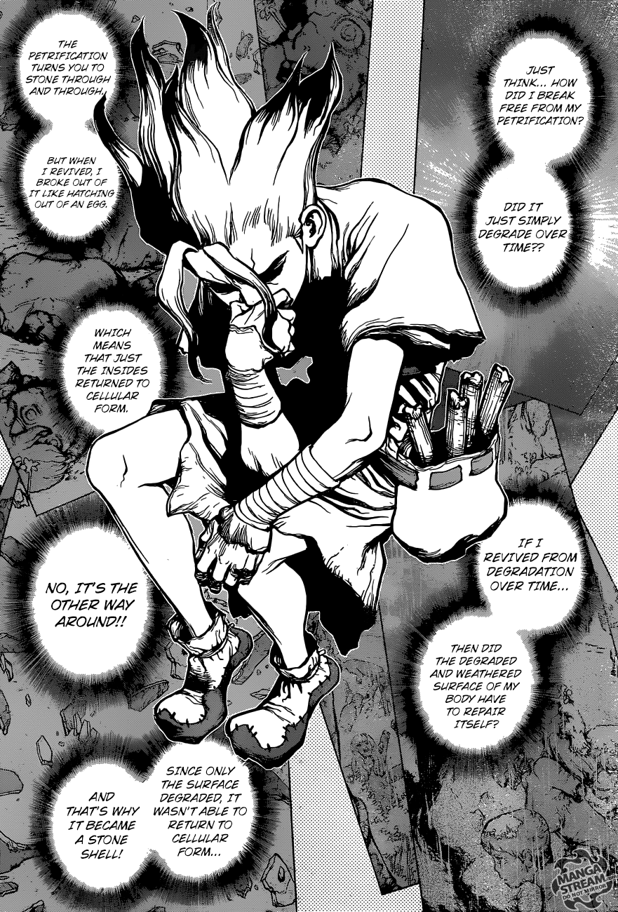 Dr. Stone Chapter 14 8